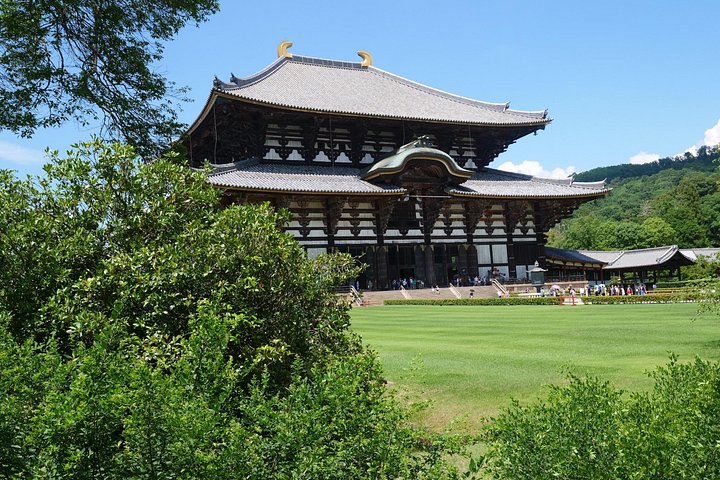 En guidad vandringstur genom Narass historiska tempel, helgedomar och parker, med pagoder, den Stora Buddha och vilda hjortar, foto 44 | wizardtrip