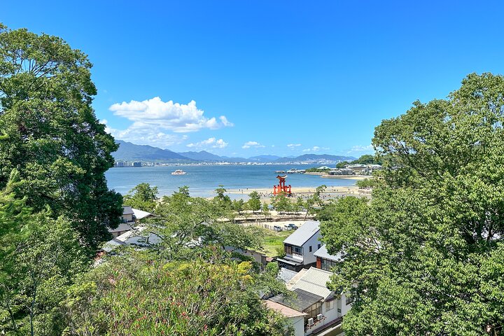 広島のガイド付きウォーキングツアーで、宮島の象徴的な厳島神社、海に浮かぶ鳥居、文化的な名所を巡りましょう、写真19 | wizardtrip