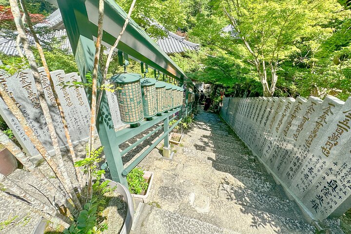 広島のガイド付きウォーキングツアーで、宮島の象徴的な厳島神社、海に浮かぶ鳥居、文化的な名所を巡りましょう、写真31 | wizardtrip
