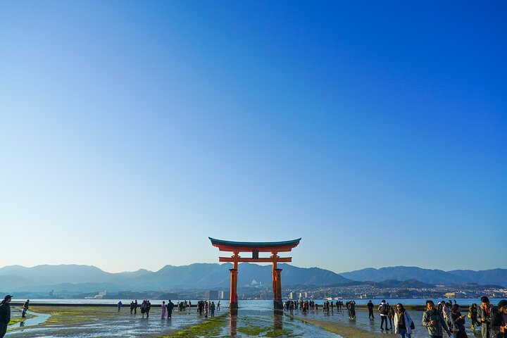 広島のガイド付きウォーキングツアーで、宮島の象徴的な厳島神社、海に浮かぶ鳥居、文化的な名所を巡りましょう、写真35 | wizardtrip