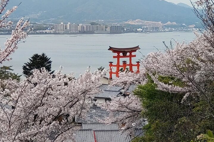 広島のガイド付きウォーキングツアーで、宮島の象徴的な厳島神社、海に浮かぶ鳥居、文化的な名所を巡りましょう、写真37 | wizardtrip