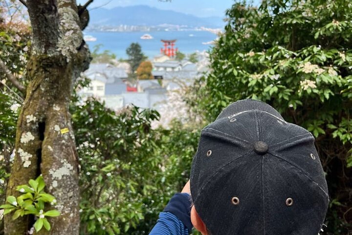 広島のガイド付きウォーキングツアーで、宮島の象徴的な厳島神社、海に浮かぶ鳥居、文化的な名所を巡りましょう、写真43 | wizardtrip