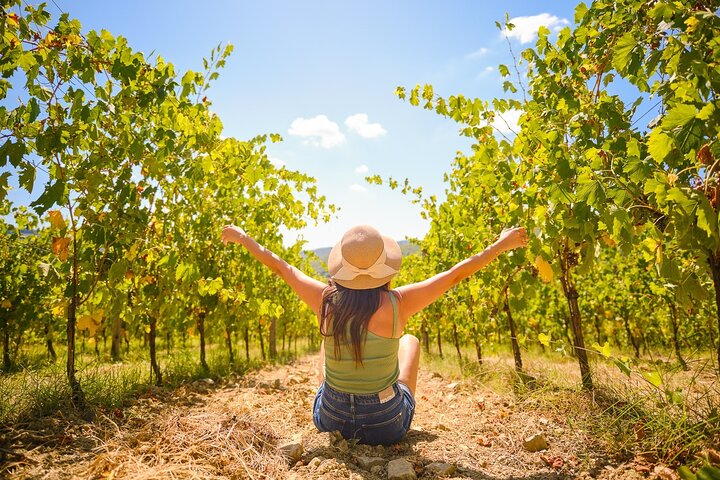 Demi-journée dans le Chianti au départ de Florence avec dégustations de vin | wizardtrip