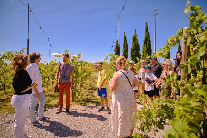 Siena, San Gimignano and Chianti Wines Day Tour from Florence | wizardtrip