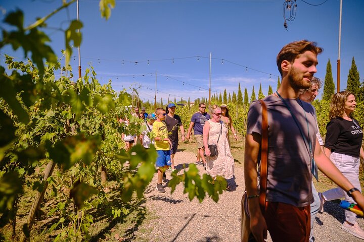 Excursion d'une journée de Florence à Sienne, San Gimignano et la région viticole du Chianti, photo 6 | wizardtrip