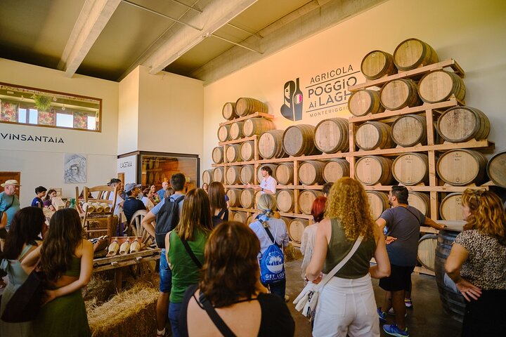 Excursion d'une journée de Florence à Sienne, San Gimignano et la région viticole du Chianti, photo 7 | wizardtrip