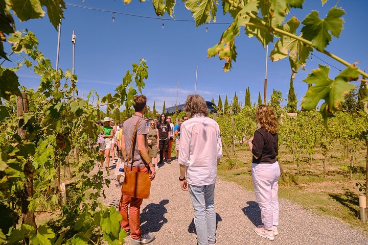 Excursion d'une journée de Florence à Sienne, San Gimignano et la région viticole du Chianti, photo 12 | wizardtrip