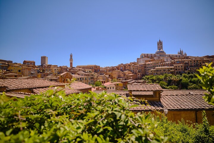 Excursion d'une journée de Florence à Sienne, San Gimignano et la région viticole du Chianti, photo 18 | wizardtrip