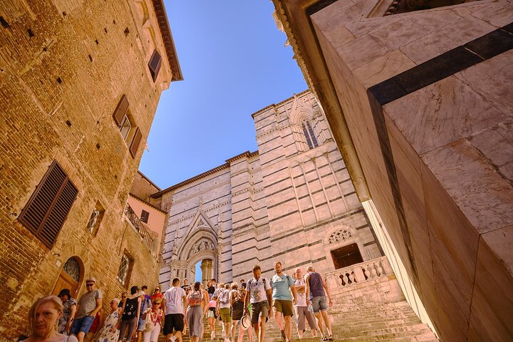 Excursion d'une journée de Florence à Sienne, San Gimignano et la région viticole du Chianti, photo 23 | wizardtrip