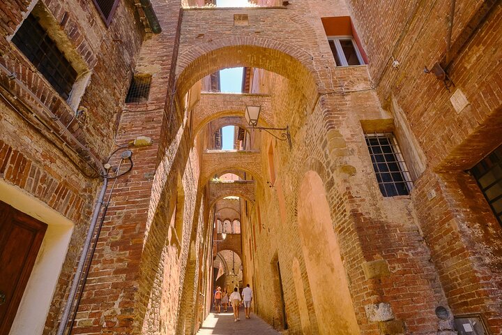 Excursion d'une journée de Florence à Sienne, San Gimignano et la région viticole du Chianti, photo 24 | wizardtrip