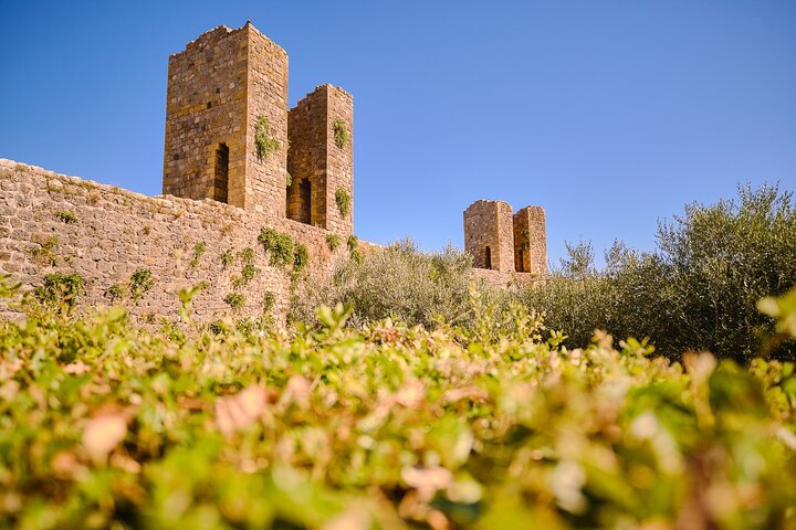 Excursion d'une journée de Florence à Sienne, San Gimignano et la région viticole du Chianti, photo 27 | wizardtrip