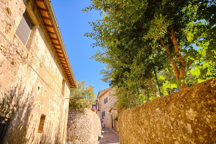 Excursion d'une journée de Florence à Sienne, San Gimignano et la région viticole du Chianti, photo 31 | wizardtrip