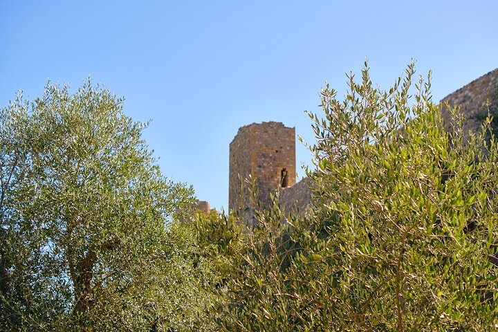 Excursion d'une journée de Florence à Sienne, San Gimignano et la région viticole du Chianti, photo 34 | wizardtrip