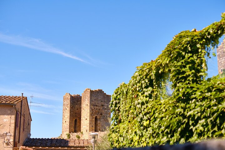 Excursion d'une journée de Florence à Sienne, San Gimignano et la région viticole du Chianti, photo 36 | wizardtrip