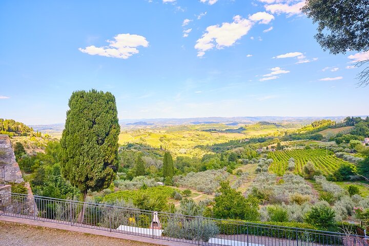 Excursion d'une journée de Florence à Sienne, San Gimignano et la région viticole du Chianti, photo 39 | wizardtrip