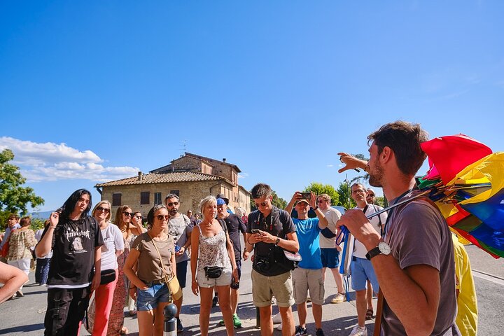 Excursion d'une journée de Florence à Sienne, San Gimignano et la région viticole du Chianti, photo 40 | wizardtrip