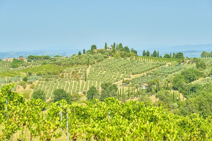 Day trip from Florence to Siena, San Gimignano, and Pisa, featuring Tuscan landscapes, medieval towns, and the Leaning Tower, photo 40 | wizardtrip