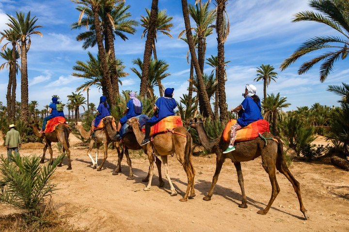 Vol en montgolfière au-dessus de Marrakech au lever du soleil avec petit-déjeuner berbère et balade à dos de dromadaire, photo 16 | wizardtrip