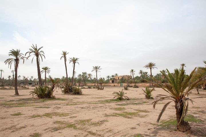 Vol en montgolfière au-dessus de Marrakech au lever du soleil avec petit-déjeuner berbère et balade à dos de dromadaire, photo 17 | wizardtrip