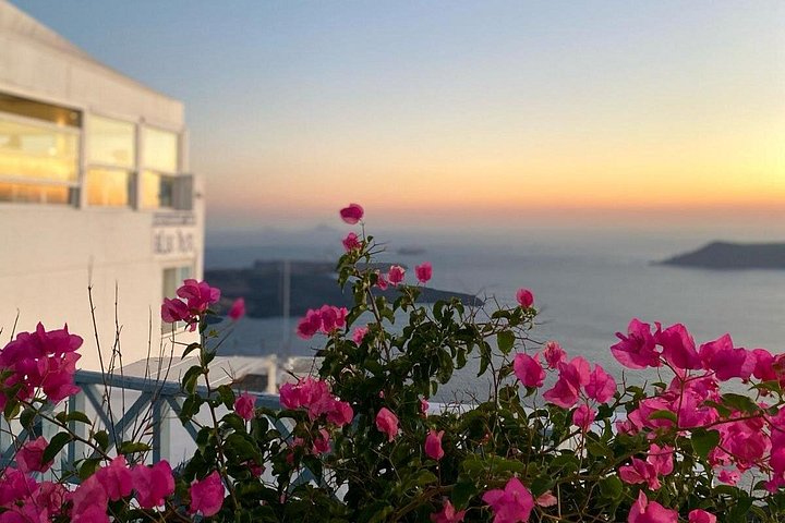 Santorini shore excursion featuring blue-domed churches, Oia village, and black sand beaches, photo 18 | wizardtrip