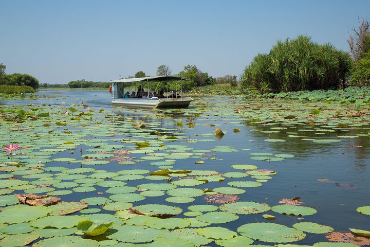 Full-Day Corroboree Billabong Wetland Experience with Cruise and Lunch | wizardtrip