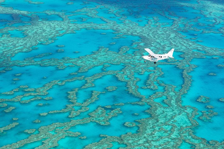 Naturskøn flyrejse og Whitehaven Beach tur i Airlie Beach, Australien, foto 10 | wizardtrip