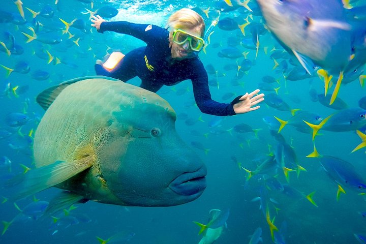Naturskøn flyrejse og Whitehaven Beach tur i Airlie Beach, Australien, foto 13 | wizardtrip