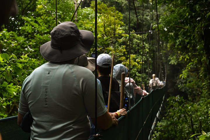 Explora la exuberante selva tropical de Costa Rica, observa perezosos y ranas, y nada en impresionantes cascadas, foto 7 | wizardtrip