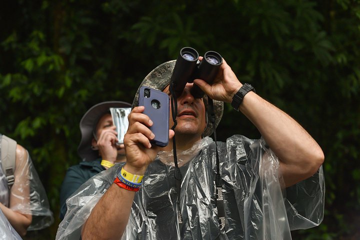Explora la exuberante selva tropical de Costa Rica, observa perezosos y ranas, y nada en impresionantes cascadas, foto 10 | wizardtrip
