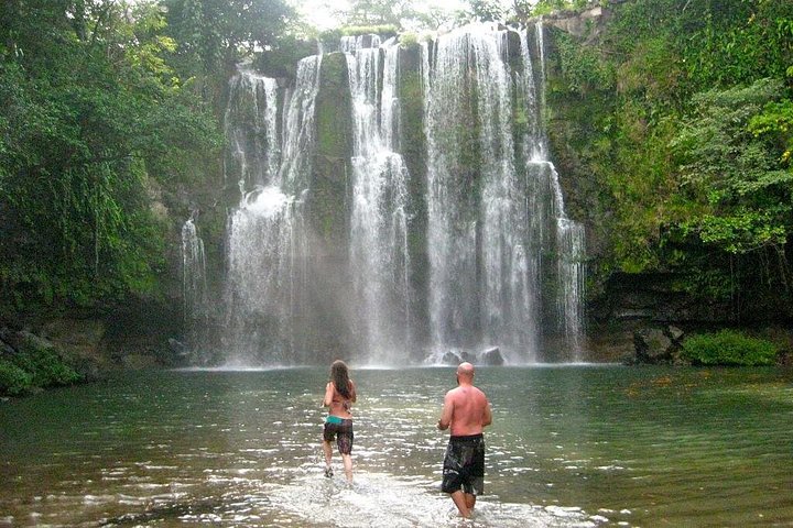 Explora la exuberante selva tropical de Costa Rica, observa perezosos y ranas, y nada en impresionantes cascadas, foto 13 | wizardtrip