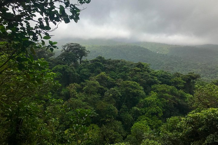 Explora la exuberante selva tropical de Costa Rica, observa perezosos y ranas, y nada en impresionantes cascadas, foto 17 | wizardtrip