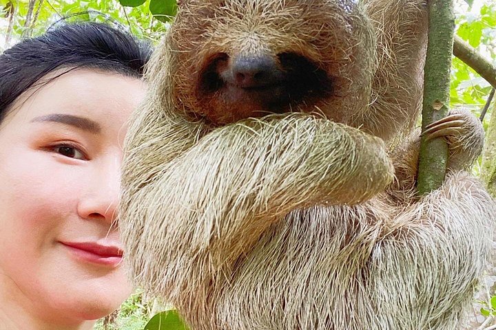 Explora la exuberante selva tropical de Costa Rica, observa perezosos y ranas, y nada en impresionantes cascadas, foto 25 | wizardtrip