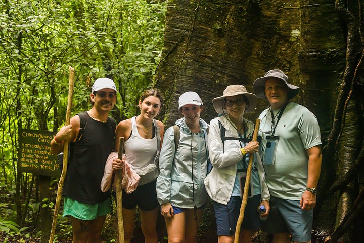 Explora la exuberante selva tropical de Costa Rica, observa perezosos y ranas, y nada en impresionantes cascadas, foto 38 | wizardtrip