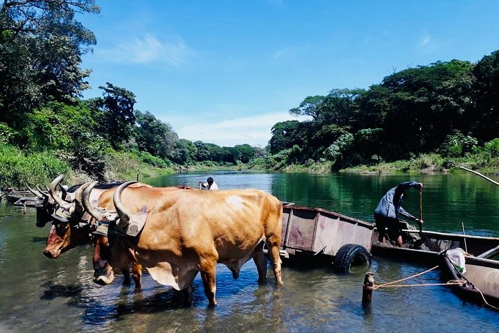 Guanacaste und Nordwest | wizardtrip