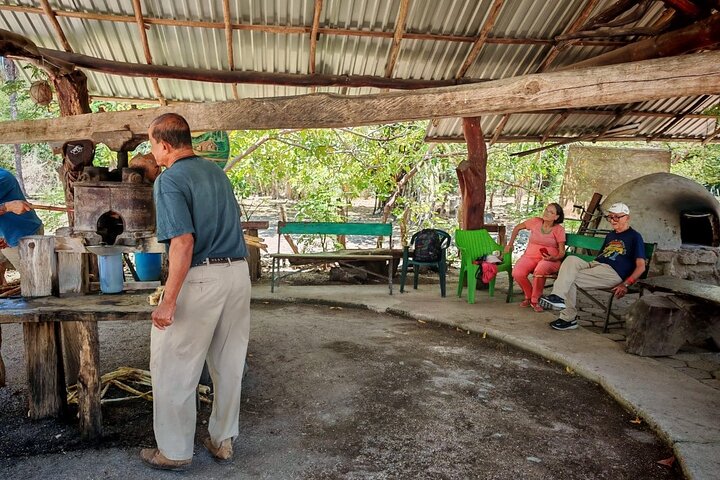Wildlife boat safari and cultural tour in Palo Verde National Park, Guanacaste, Costa Rica, photo 7 | wizardtrip