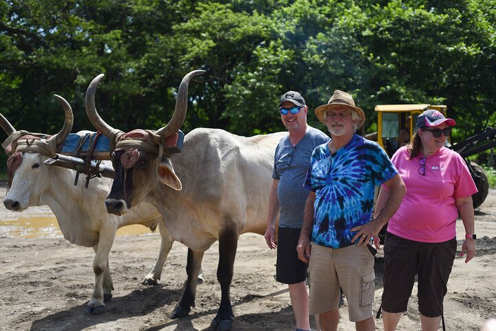 Wildlife boat safari and cultural tour in Palo Verde National Park, Guanacaste, Costa Rica, photo 9 | wizardtrip