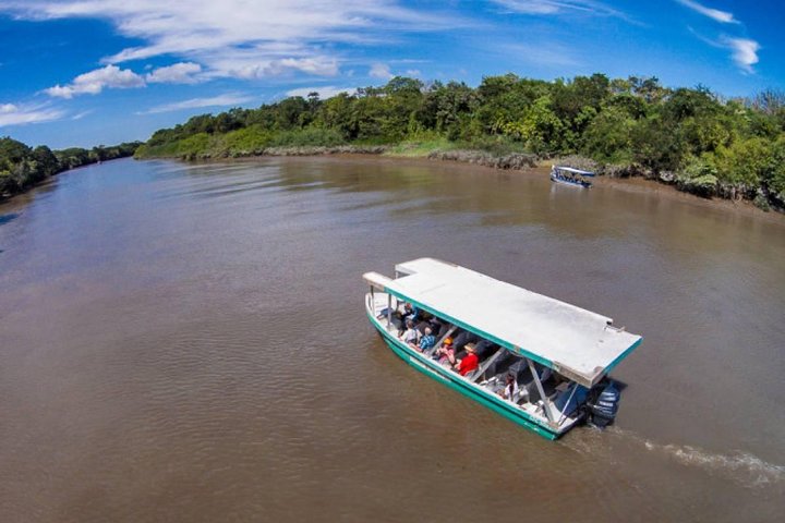 Wildlife boat safari and cultural tour in Palo Verde National Park, Guanacaste, Costa Rica, photo 12 | wizardtrip