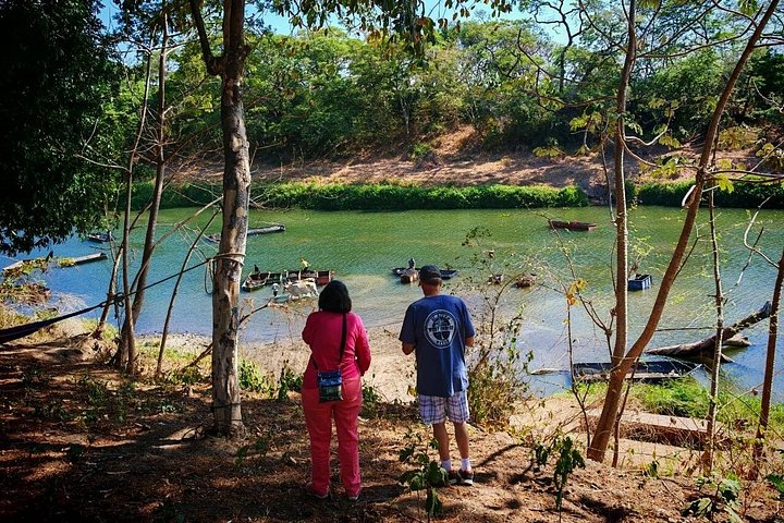 Wildlife boat safari and cultural tour in Palo Verde National Park, Guanacaste, Costa Rica, photo 21 | wizardtrip