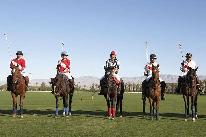 Polo Wedstrijd, BBQ en Les Dagtocht vanuit Buenos Aires | wizardtrip