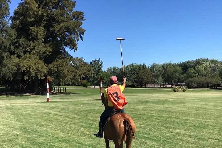 Ervaar een authentieke Argentijnse polodag met wedstrijd, les en BBQ nabij Buenos Aires, foto 25 | wizardtrip