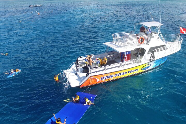Excursion de snorkeling guidée à Oahu, Hawaï, avec des opportunités de voir des tortues marines et des poissons tropicaux, photo 8 | wizardtrip