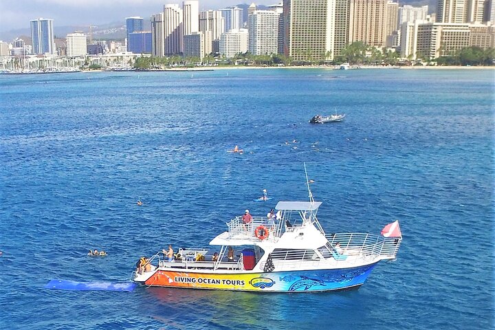 Excursion de snorkeling guidée à Oahu, Hawaï, avec des opportunités de voir des tortues marines et des poissons tropicaux, photo 9 | wizardtrip