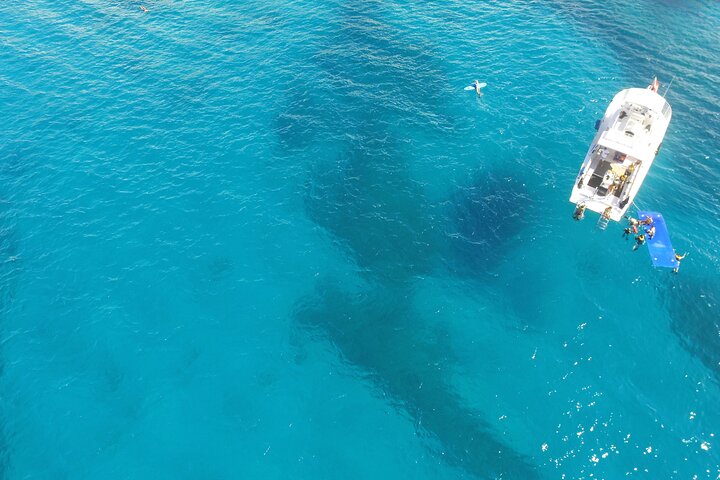 Excursion de snorkeling guidée à Oahu, Hawaï, avec des opportunités de voir des tortues marines et des poissons tropicaux, photo 12 | wizardtrip