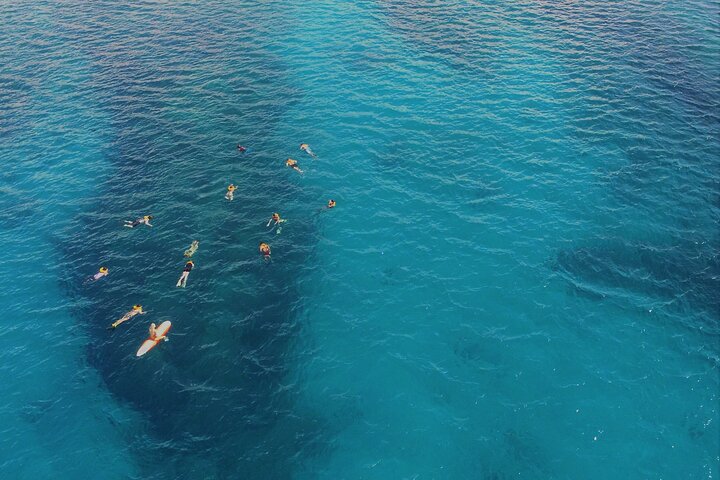 Excursion de snorkeling guidée à Oahu, Hawaï, avec des opportunités de voir des tortues marines et des poissons tropicaux, photo 13 | wizardtrip