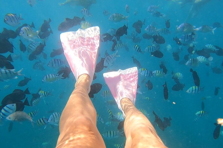 Excursion de snorkeling guidée à Oahu, Hawaï, avec des opportunités de voir des tortues marines et des poissons tropicaux, photo 14 | wizardtrip