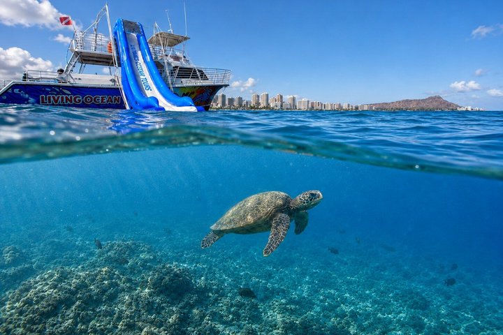 Waikiki Koraalrif Snorkel & Waterglijbaan Avontuur | wizardtrip
