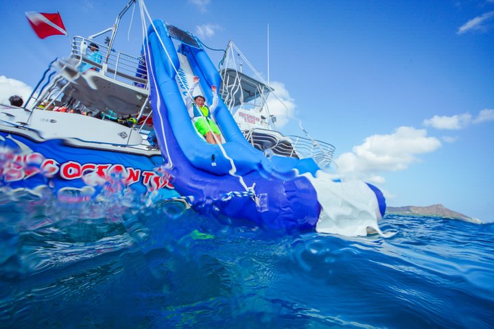 オアフ島ワイキキでの風光明媚なボートクルーズとシュノーケリングアドベンチャー、楽しいウォータースライダーと野生生物観察をお楽しみください、写真9 | wizardtrip
