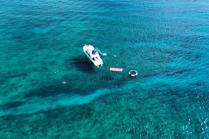 オアフ島ワイキキでの風光明媚なボートクルーズとシュノーケリングアドベンチャー、楽しいウォータースライダーと野生生物観察をお楽しみください、写真18 | wizardtrip