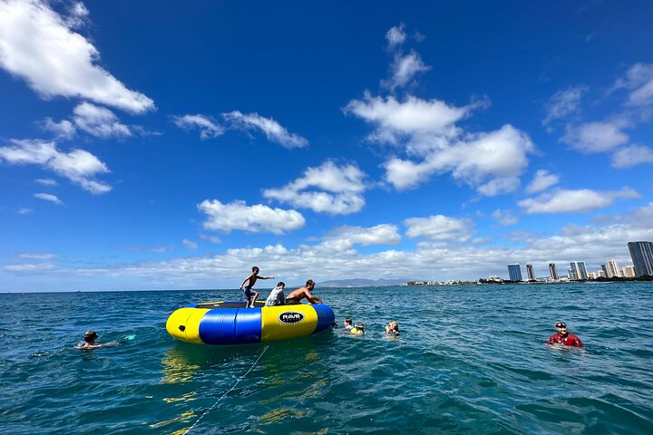 オアフ島ワイキキでの風光明媚なボートクルーズとシュノーケリングアドベンチャー、楽しいウォータースライダーと野生生物観察をお楽しみください、写真19 | wizardtrip