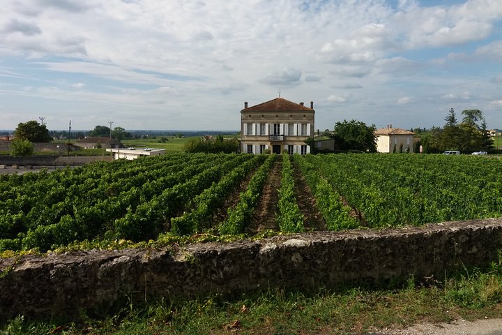 Visite Dégustation Saint-Émilion Demi-Journée depuis Bordeaux | wizardtrip